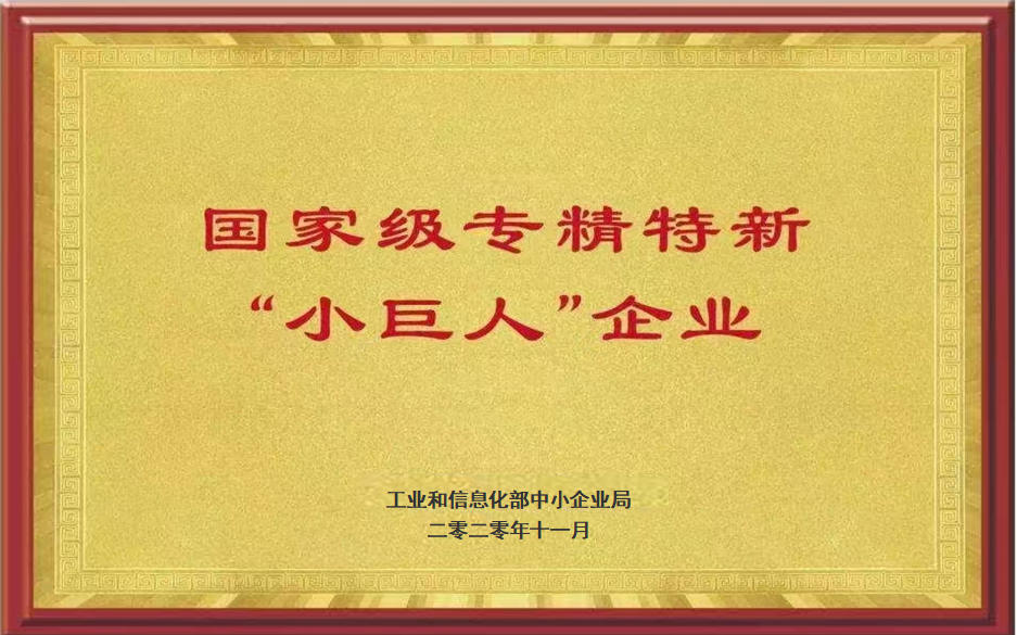 國家級專(zhuān)精特新“小巨人”企業(yè)